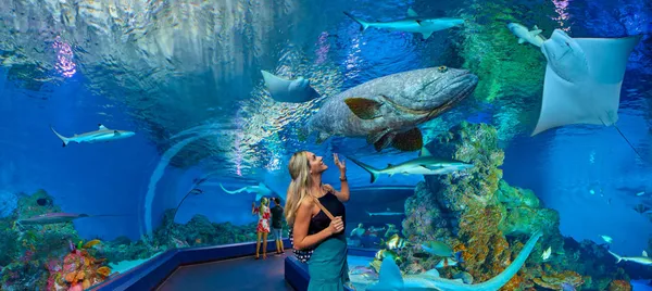 Cairns Aquarium Entry Tickets