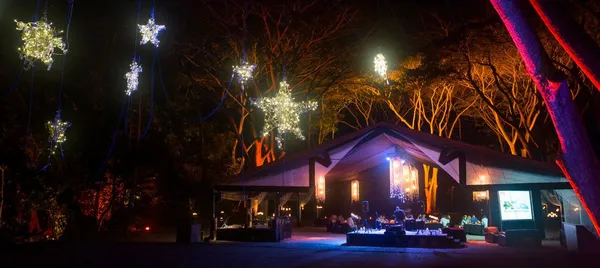 Flames of the Forest Aboriginal Cultural Dining Experience