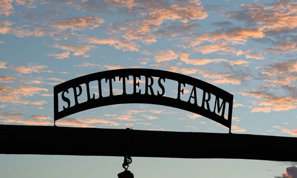 Splitters Farm Guided Tour - 1 Hour