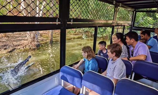 Hartleys Crocodile Adventures Entry & Croc Feeding Experience