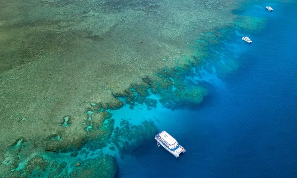 3 Day Cairns Liveaboard on OceanQuest
