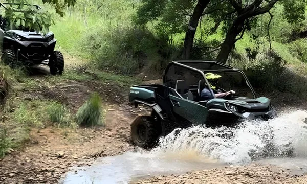 Adventure Offroad Buggy Tour 1/2 tour from Cairns