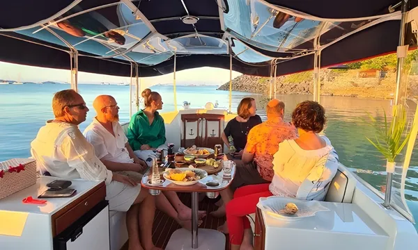 Airlie Beach Turtle Spotting Cruise - 1 Hour 