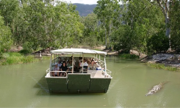 Hartley's Crocodile Adventures Half Day Tour