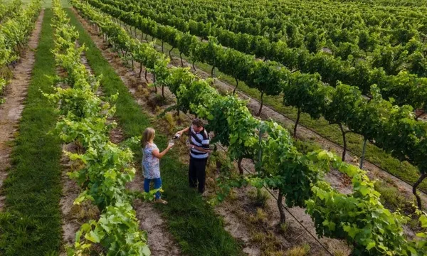 Granite Belt Grape to Glass Masterclass - for 2