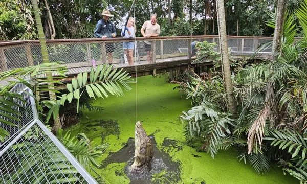 Wildlife Habitat Port Douglas Entry & Croc Feed Experience