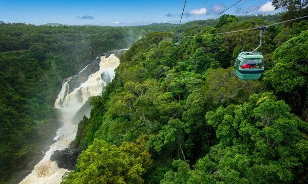 Skyrail Rainforest Cableway Return Ticket