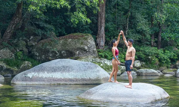 Daintree Rainforest Full Day Tour with Wildlife Cruise