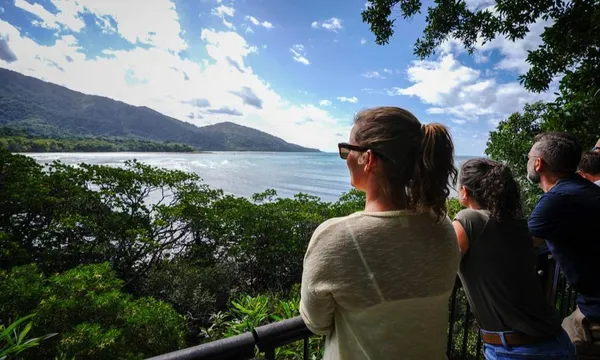 Total Daintree Experience - Small Group Tour from Port Douglas