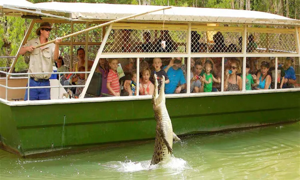 Hartley's Crocodile Adventures Tickets