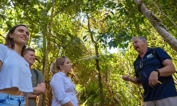 Daintree Rainforest and Mossman Gorge Luxury Tour