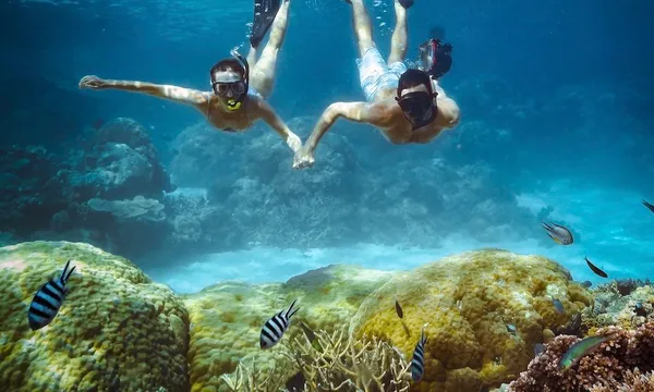 Port Douglas Great Barrier Reef Dive & Snorkel Tour