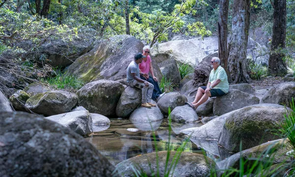 Full Day Julaymba Dungay Tour to the Daintree and Mosman