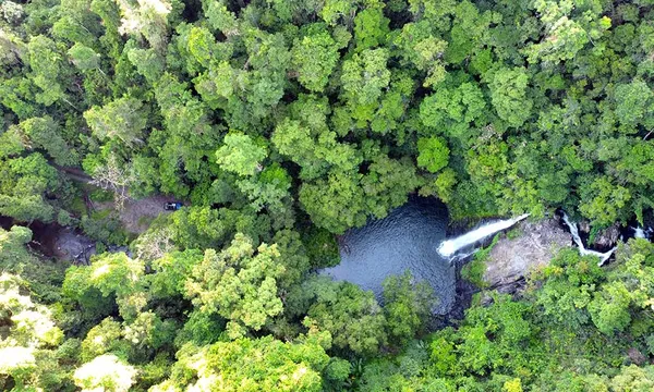Daintree Rainforest & Cassowary Falls Tour 