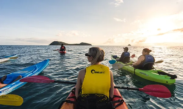 Cairns Kayak Turtle Tour from Palm Cove to Double Island - Half Day