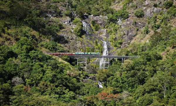 Kuranda Skyrail & Scenic Railway Tour from Northern Beaches