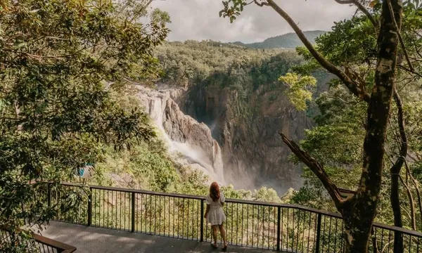 Cairns Waterfall, Wetlands and Skyrail Day Tour