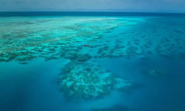 Great Barrier Reef Half-Day Snorkelling Tour