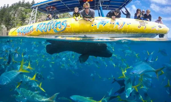 Daydream Island Ocean Rafting Tour - Northern Exposure