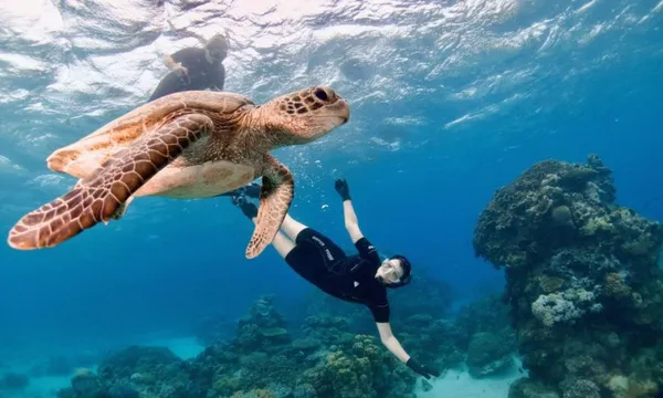 Half Day Great Barrier Reef Adventure