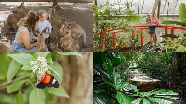Cairns 4 Park Attraction Pass 