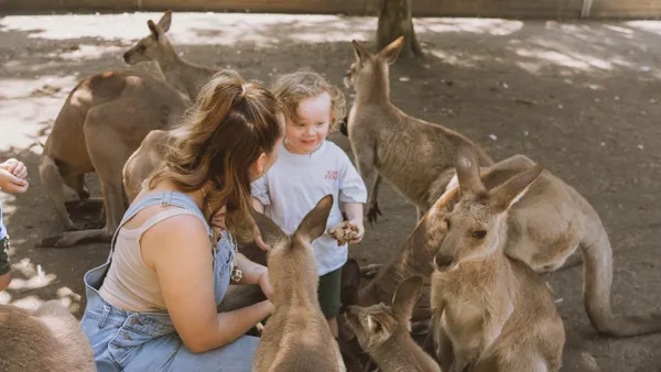 Wildlife Habitat Port Douglas Tickets