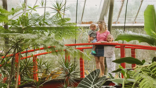Australian Butterfly Sanctuary Entry Tickets