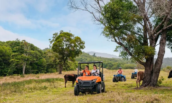 Cairns KUR-Cow Farm ATV Tour & Petting Zoo Entry - 60 Minutes