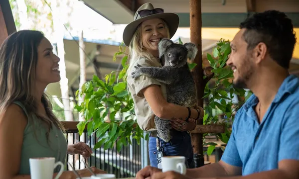 Hartley's Crocodile Adventures Breakfast with Koalas