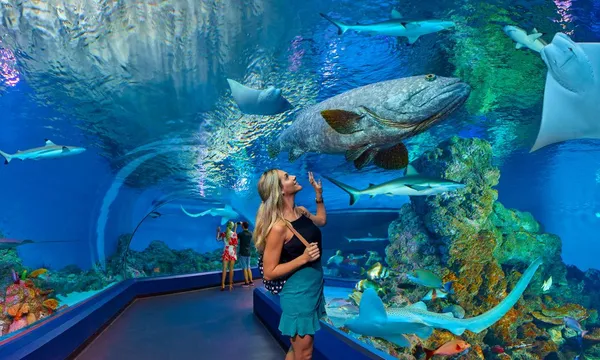 Cairns Tomb of the Pharaohs & Aquarium Admission - 1 Day