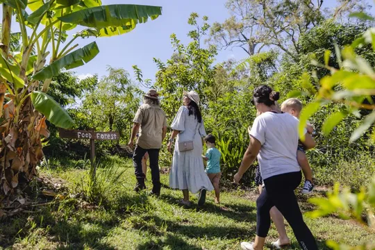 Self Guided Permaculture Farm Audio Tour - 90 Minutes