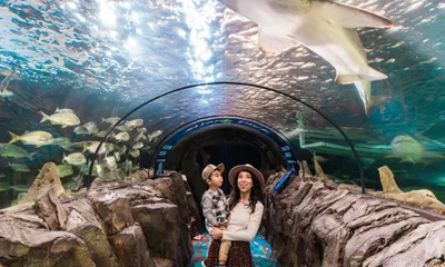 Zoos & Aquariums