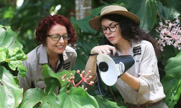 Cairns Botanic Gardens Guided Photography Walk - 2 Hours