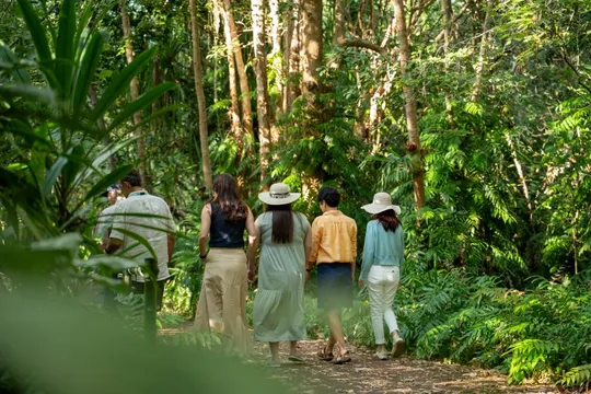 Barron Falls & Kuranda Railway from Port Douglas - Full Day