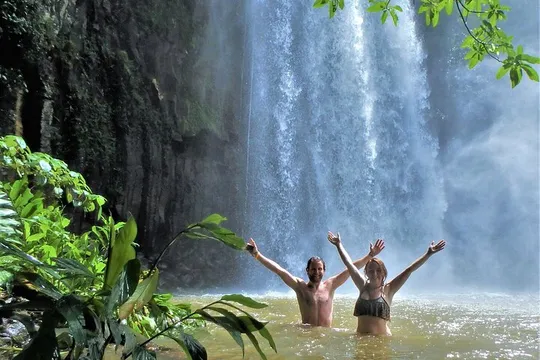 Cairns Waterfall and Rainforest Tour - Half Day