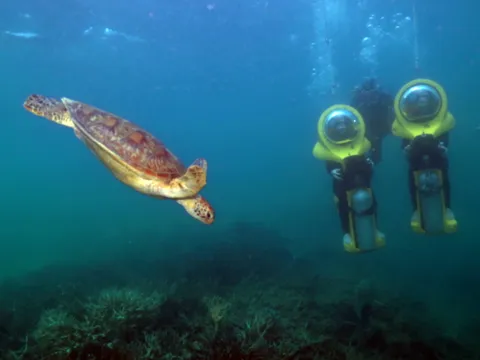 Great Barrier Reef Cruise to Great Adventures Pontoon