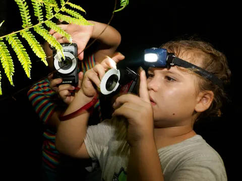 Cairns Botanic Gardens Night Walk Adventure - 1 Hour
