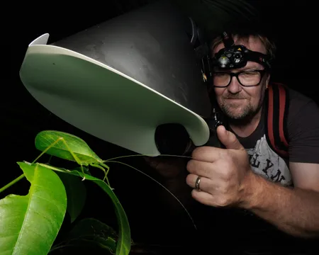 Cairns Premium Night Nature Walk - 2.5 Hours