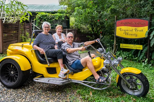 Shannonvale Trike, Wine & Chocolate Tasting Tour - 2.5 Hours