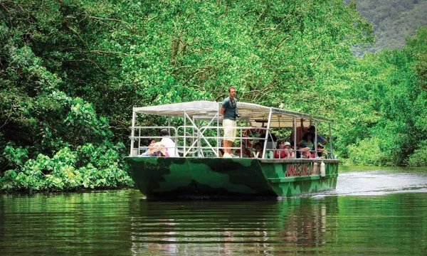 Daintree Village Crocodile Express Cruise - 1 Hour