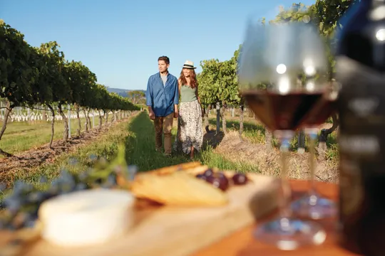 Granite Belt Vintage Tour with 2 Course Lunch - Full Day