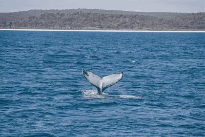 Fraser Coast
