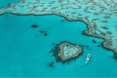 The Whitsundays