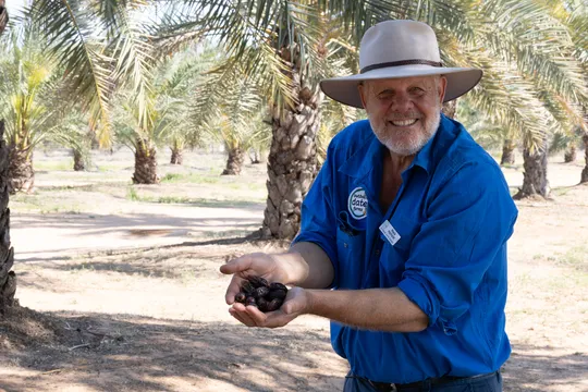 Charleville Guided Date Farm Tour and Tasting - 90 Minutes