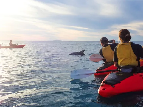 1770 Sunset Kayak Tour - 2.5 Hours